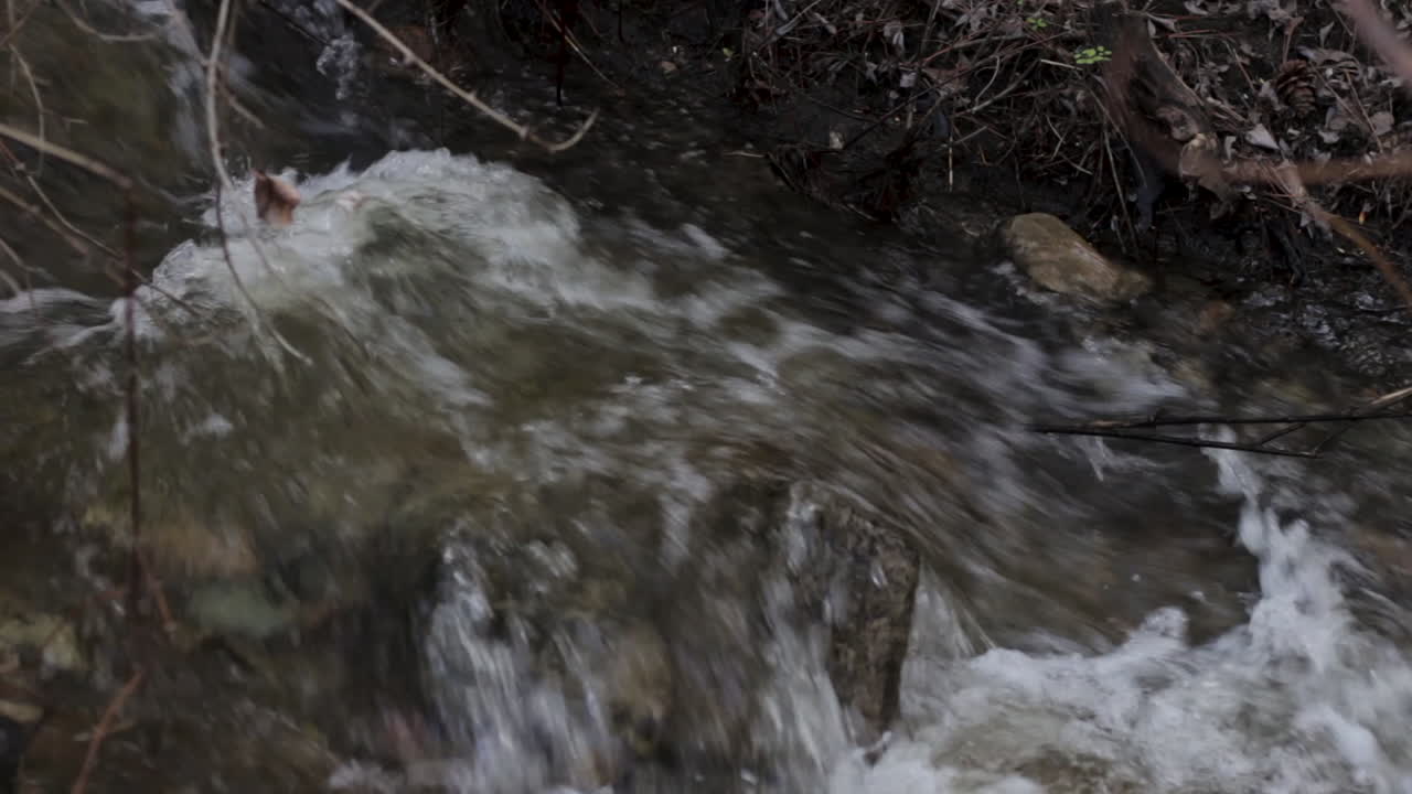 Piccola cascata di ruscello che si getta su una roccia in una foresta primaverile
