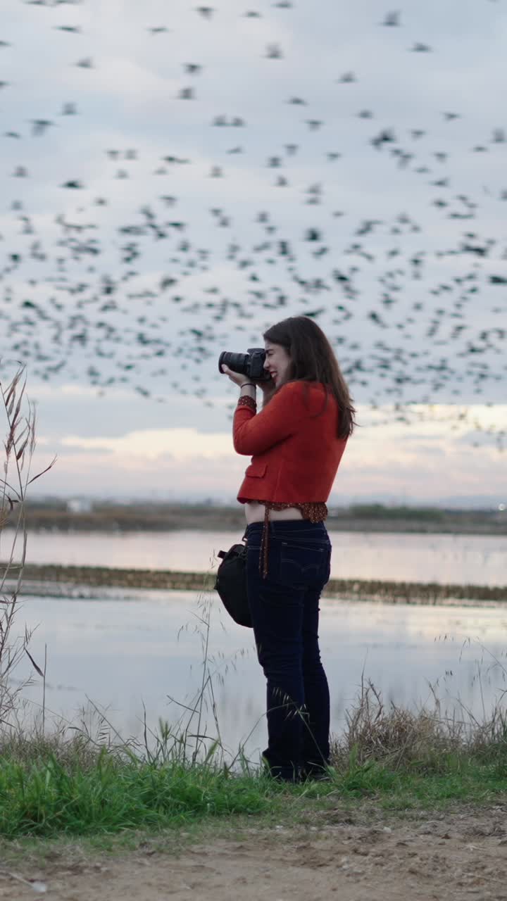 Woman photographing birds in a field