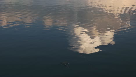 4k close up reflection of clouds on the water surface