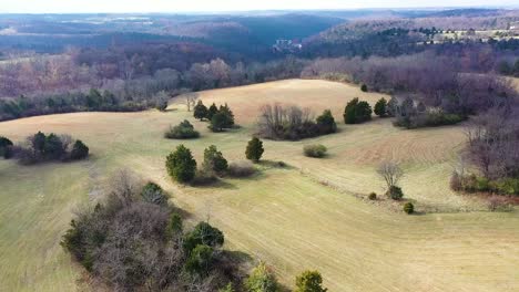 Dolly-aerial-pushing-into-a-beautiful-horse-farm-with-lush-green-vibrant-grass-and-a-deep-blue-valley-in-the-back-with-views-of-Castle-and-Key-distillery