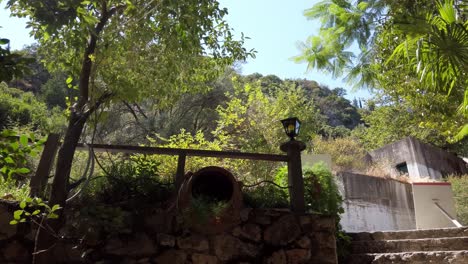 no hay gente - ánfora a la sombra de un árbol en la tarde - cerrar