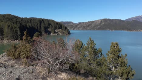 Vista-Aérea-Sobre-árboles-Que-Revelan-Aoos-Lago-De-Primavera-Soleado-Día-De-Invierno-Grecia