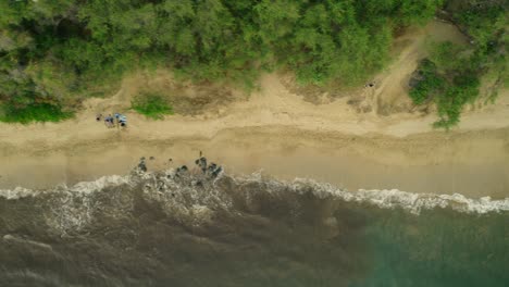 the beautiful shores of maul, hawaii are perfect for peaceful family gatherings and barbeques