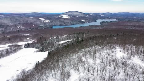 órbita-Aérea-Alrededor-De-La-Cima-De-Una-Colina-Cubierta-De-Nieve-Para-Revelar-Campos-Y-Lagos-Entre-Un-Interminable-Bosque-De-Invierno