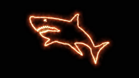 shark outline of burning flames and neon lights
