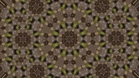 footage mandala pink abstract