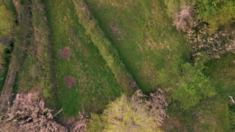 Vertikale-Aufnahme-Der-Farbenfrohen-Landschaft-Des-Naturparks-Während-Der-Herbstsaison