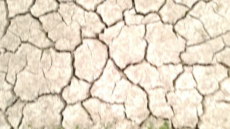 cracked land pieces with growing plants on top, top down view