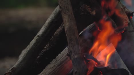 close-up shot of campfire flame