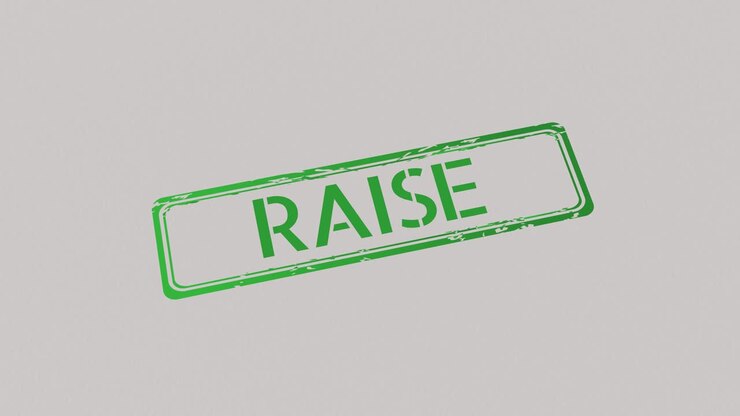 RAISE Stamp