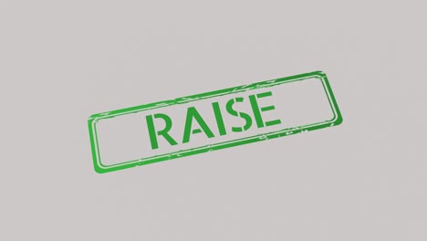 RAISE-Stamp