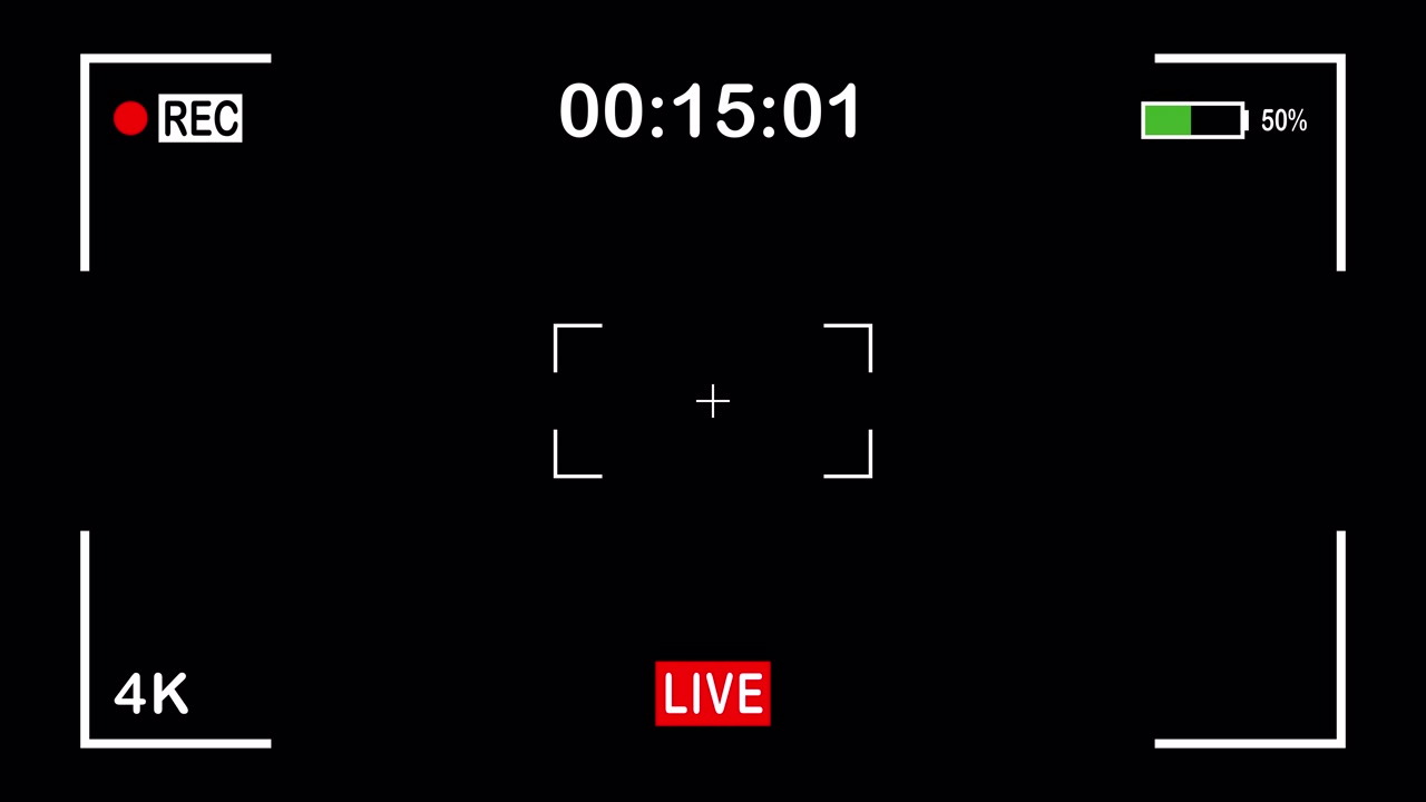 Digital Camera Viewfinder Interface with Recording and Live Indicators