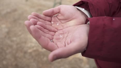 Erntemann,-Der-Hagel-In-Den-Händen-Fängt