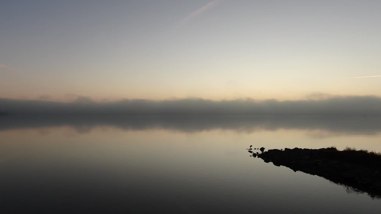 Foggy Morning Lake with Blue Heron