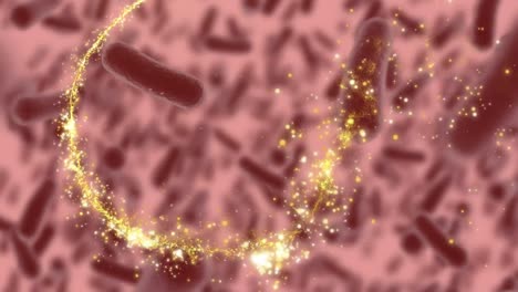 animation of shooting star spinning and macro bacteria or covid 19 cells