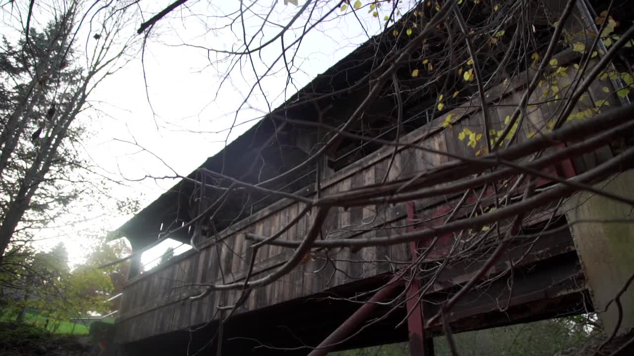 쿨렌 가든스 센트럴 파크 앞면에 가지와 가지가 있는 목조 보행자 다리, 휘트비, 캐나다