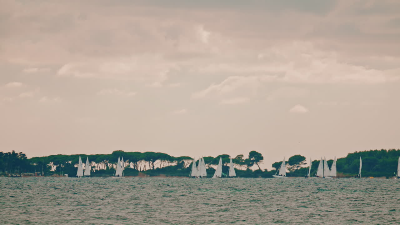 A line of white sailboats racing in a regatta off a low, tree covered coastline on the Mediterranean Sea