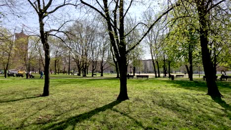 Berlin-Innenstadt-Park-An-Einem-Sonnigen-Tag-Mit-Bäumen,-Die-Schatten-Auf-Das-Gras-Werfen