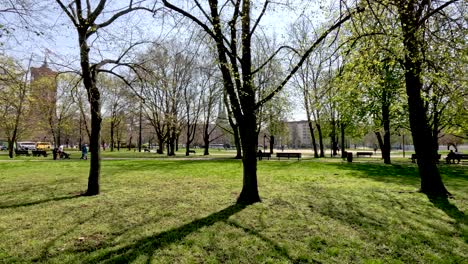 parque de berlin innenstadt en un día soleado con árboles que proyectan sombras en la hierba