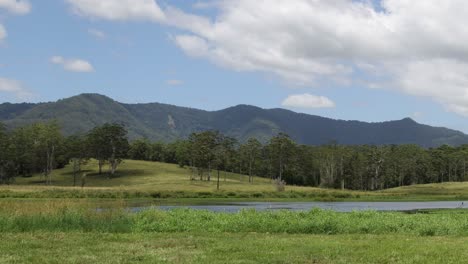 time-lapse of a serene natural landscape