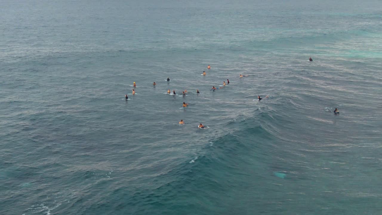 los surfistas se reúnen cerca de la playa de ehukai en oahu, hawai, vista aérea de un avión no tripulado