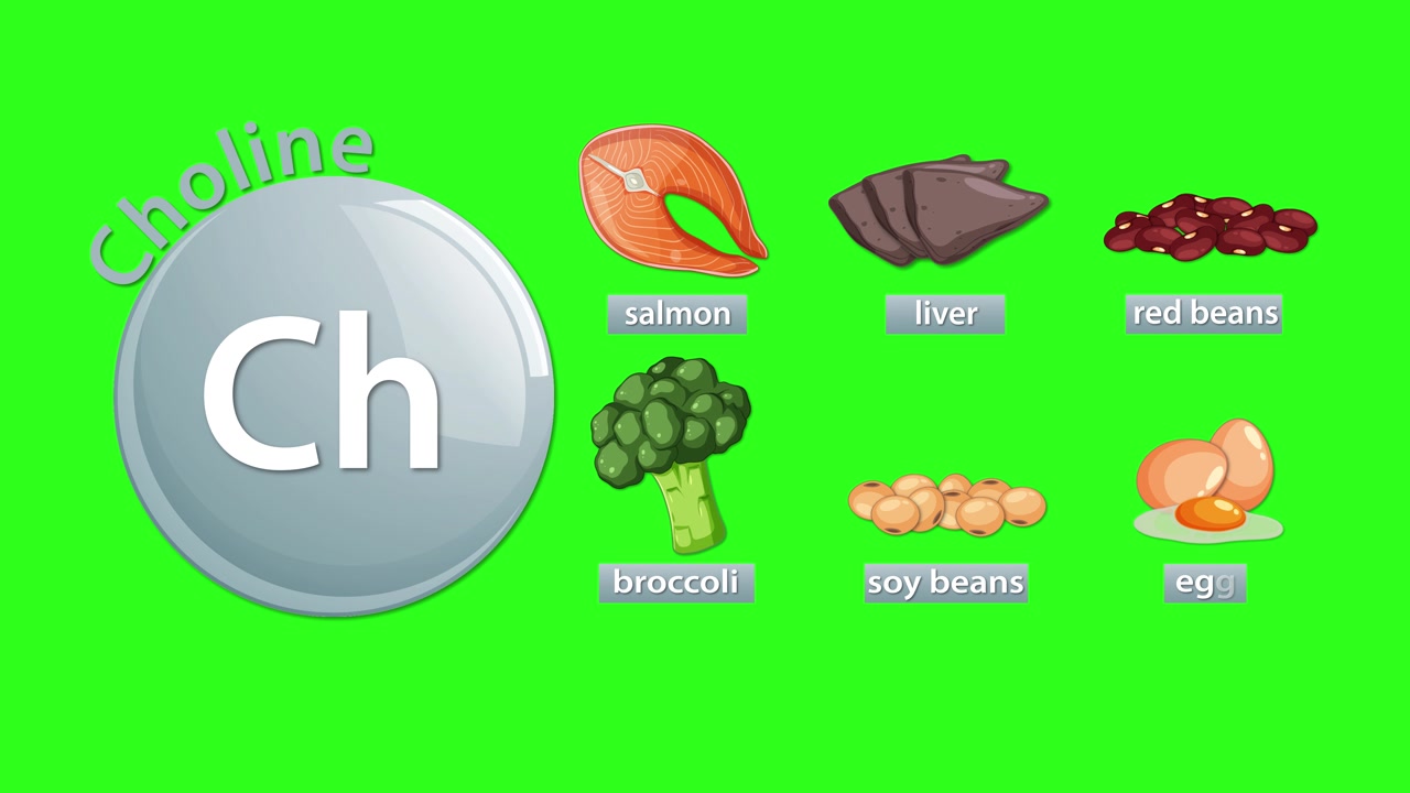 Infografica animata che mostra gli alimenti ricchi di colina con icone etichettate su uno sfondo verde brillante