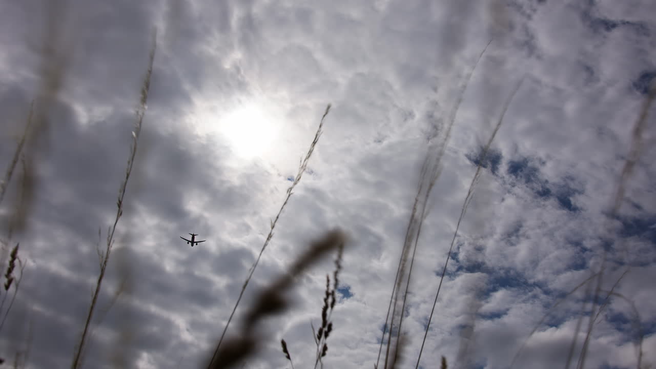 구름 은 하늘 에 있는 비행기, 풀 을 통해 볼 수 있다