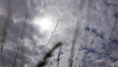 avión en un cielo nublado, visto a través de la hierba
