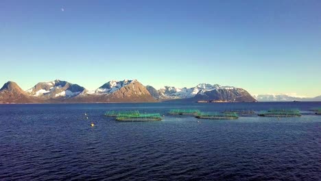 granja de salmón en noruega