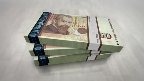 bulgaria leva money banknote pile packs animation