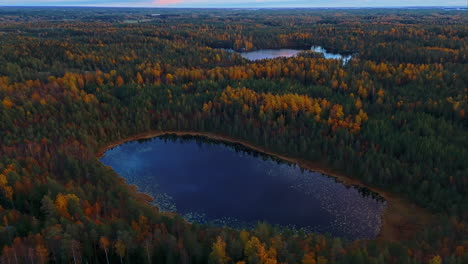 aerial shot orbiting a small pond or lake in the middle of an endless wilderness forest in sipoonkorpi national park in finland