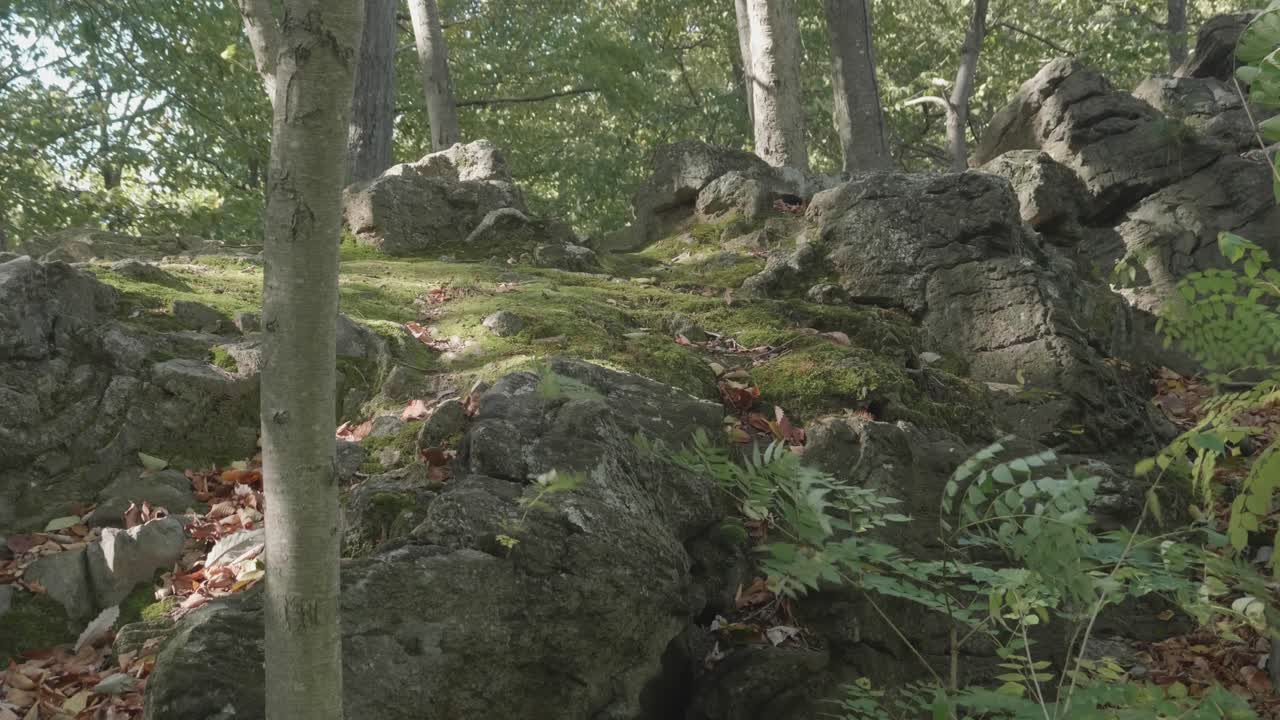 piedras en el salto del amante, wissahickon creek