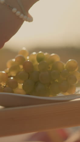 primer plano de una mano dejando caer uvas verdes frescas en un plato bajo la luz solar cálida y natural, el plato se sienta en una mesa de picnic de madera al aire libre, con bocadillos en el otro plato