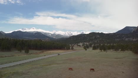 aerial ascent backup of horses eating in ranch pasture with mountains in background, rocky mountains, estes park, colorado