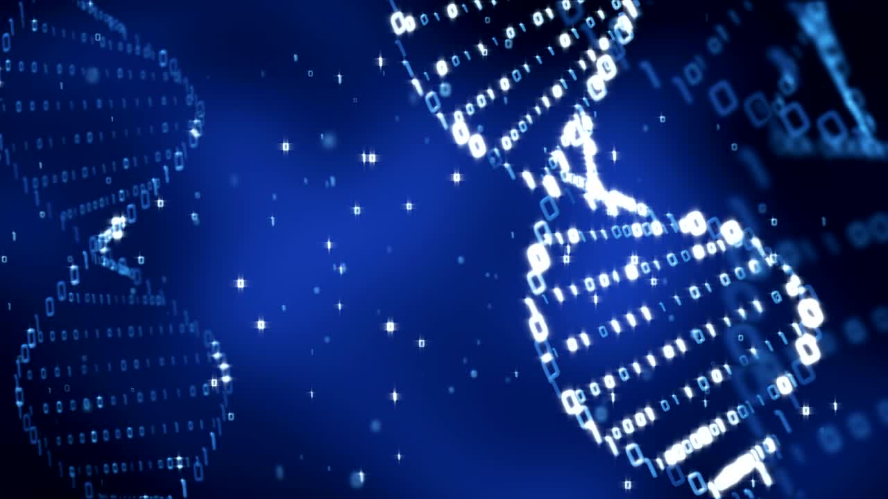 DNA structure (loop)
