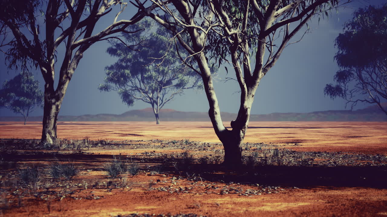 Vast desert landscape with solitary trees under a fading twilight sky
