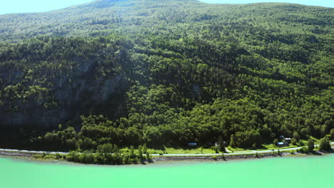 thicket mountain forest at the coastal road with cars driving on summertime in vagavatnet lake, norway