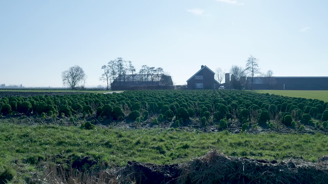 Landligt landbrugslandskab med grønne marker og et fjerntliggende bondehus