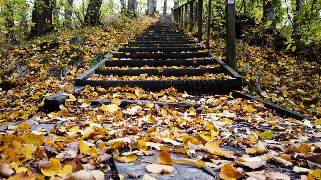 sendero de peregrinación en el oeste de suecia en el follaje de otoño