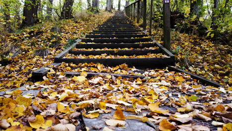 pilgrim trail in western sweden in autumn foliage