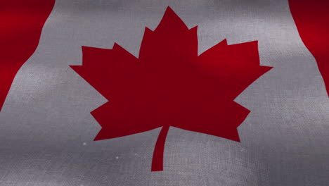 the canada national waving flag