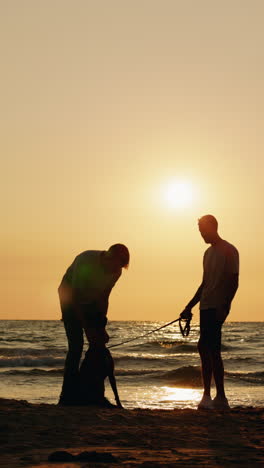 silhouettes of people and a dog on a beach at sunset