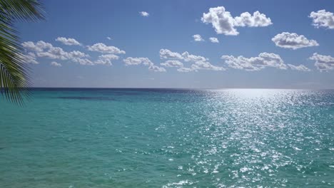 tropical beach scene