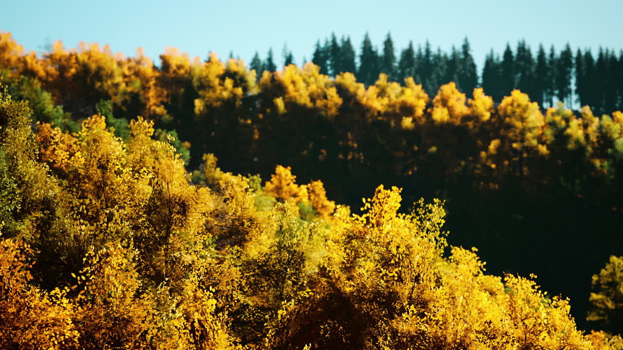 потрясающий пейзаж осенью в сентябре