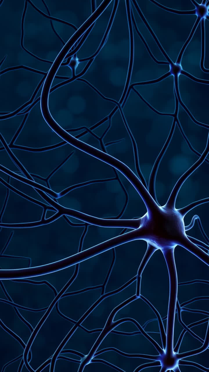 Neuron and Neural Network