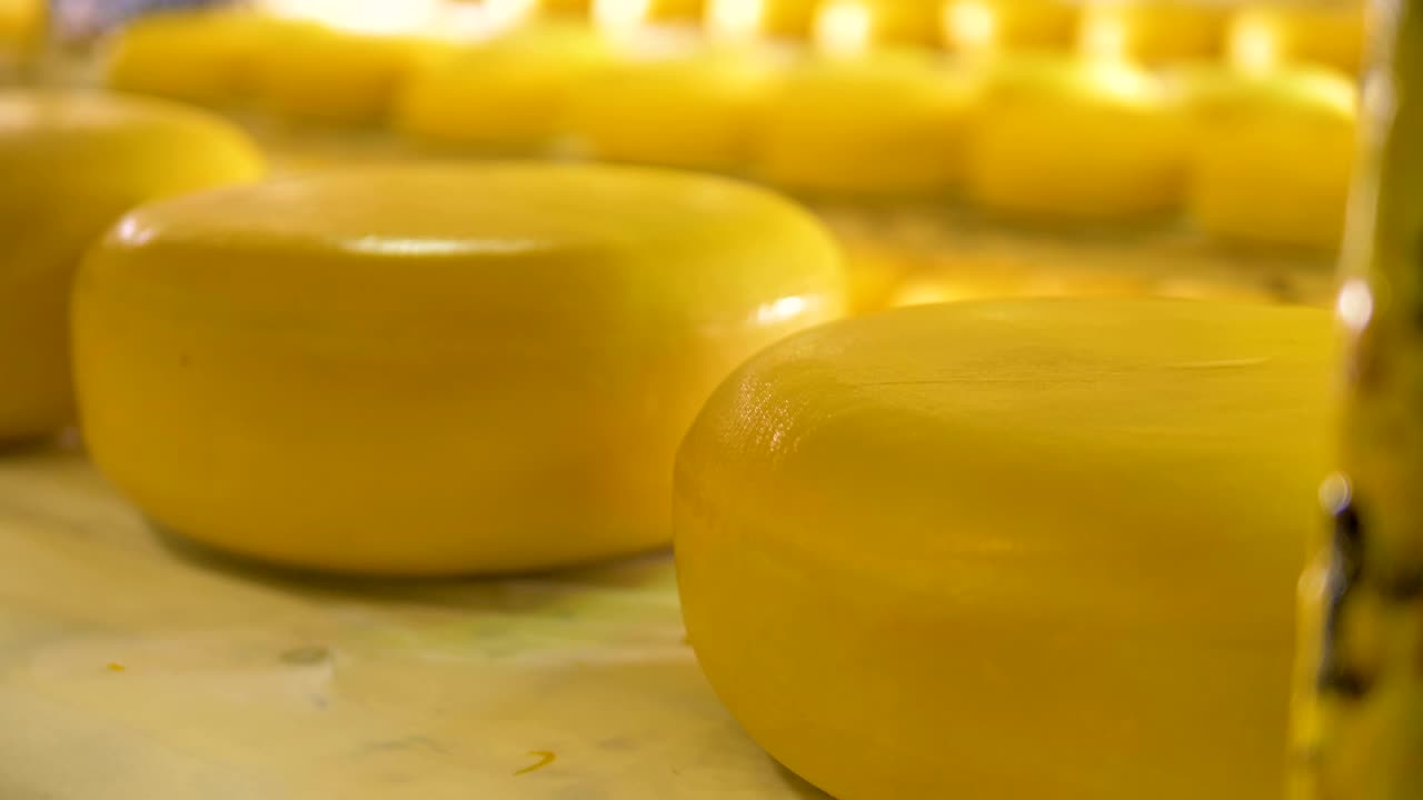 queso brillante y brillante cubierto de cera amarilla.