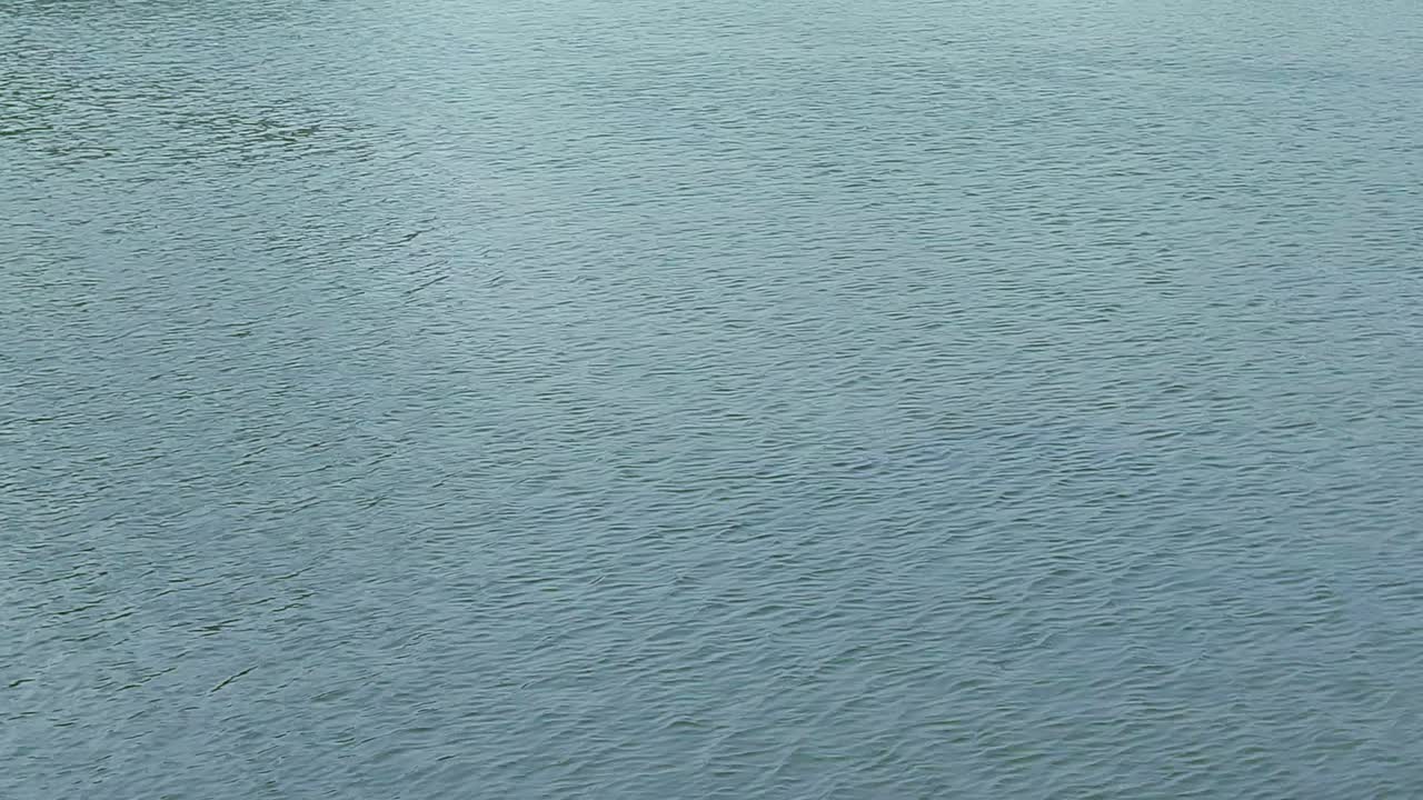 Serene view of water surface gently rippling with wind. natural wave patterns relaxing and aesthetic effect.
