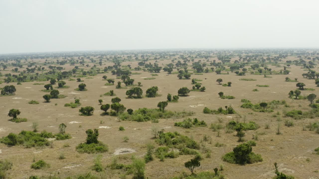 Le jeep da safari attraversano le vaste pianure della savana in Africa, Uganda.