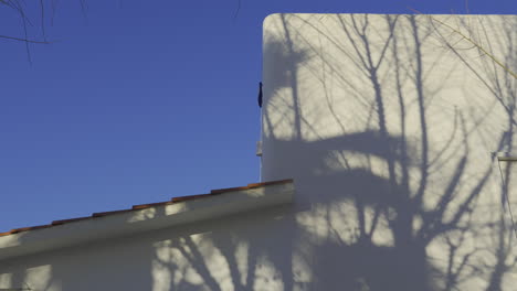 Time-lapse-video-of-moving,-dancing-tree-brunch-shadows-across-white-house-facade-during-sunny-morning