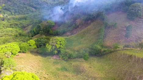 vista aérea de un grupo de personas, caminando hacia furiosos incendios forestales, en los bosques tropicales de australia - seguimiento, disparo de drones